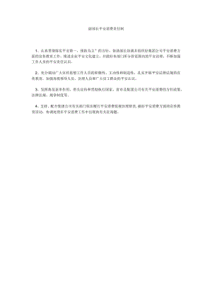 【精选】副部长安全生产责任制精选.docx