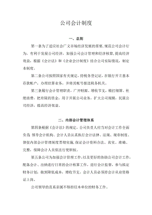 公司会计制度.docx