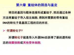 第六章重组体的筛选与鉴定.ppt.ppt