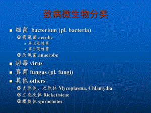 院内感染的主要病原体及其抗菌治疗【精品PPT】 .ppt