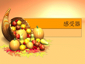 人体生理卫生感受器ppt.ppt