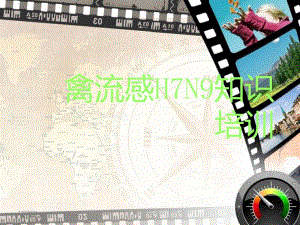 禽流感h7n9知识培训.ppt