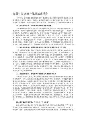 党委书记2023年述责述廉报告.docx
