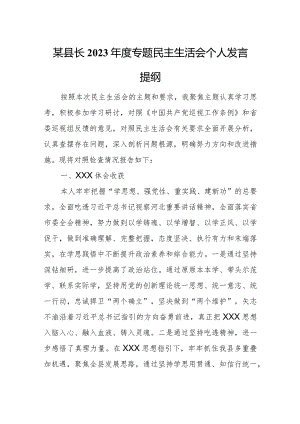 某县长2023年度专题民主生活会个人发言提纲.docx