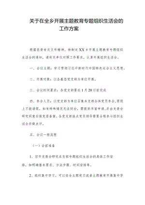 关于在全乡开展主题教育专题组织生活会的工作方案.docx