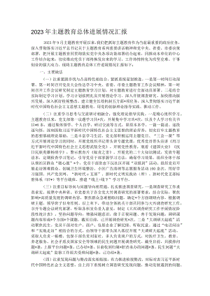 2023年主题教育总体进展情况汇报.docx