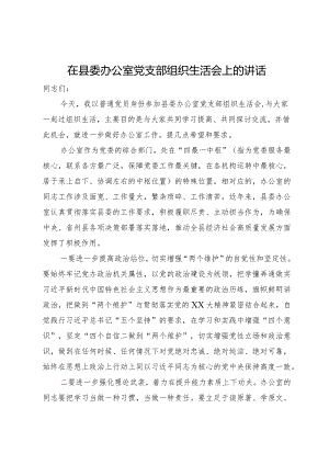 在县委办公室党支部组织生活会上的讲话.docx