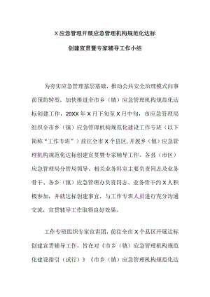 X应急管理开展应急管理机构规范化达标创建宣贯暨专家辅导工作小结.docx