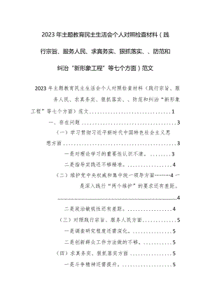 2023年主题教育民主生活会个人对照检查材料（践行宗旨、服务人民、求真务实、狠抓落实、、防范和纠治“新形象工程”等七个方面）范文.docx
