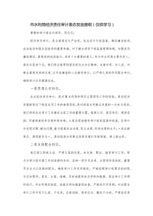 市水利局经济责任审计表态发言提纲.docx