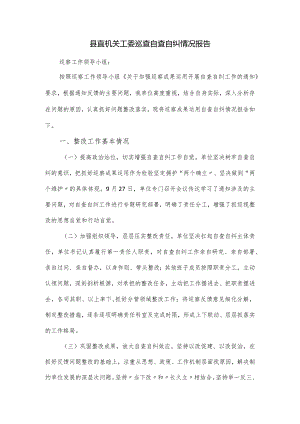 县直机关工委巡查自查自纠情况报告.docx