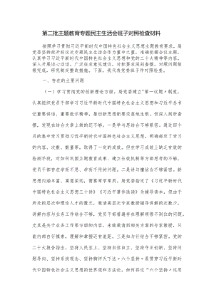 第二批主题教育专题民主生活会班子对照检查材料.docx