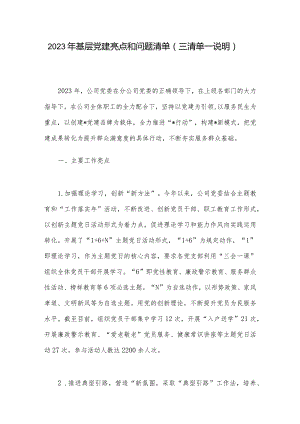 2023年基层党建亮点和问题清单（三清单一说明）.docx