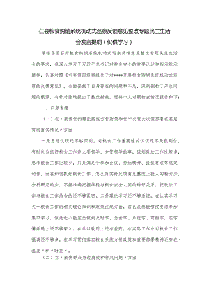 在县粮食购销系统机动式巡察反馈意见整改专题民主生活会发言提纲.docx