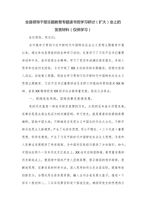 全县领导干部主题教育专题读书班学习研讨（扩大）会上的发言材料.docx