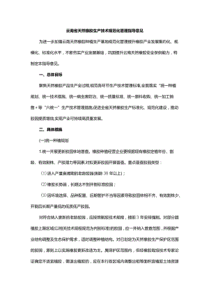 云南省天然橡胶生产技术规范化管理指导意见.docx