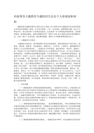 科级领导主题教育专题组织生活会个人检视剖析材料.docx