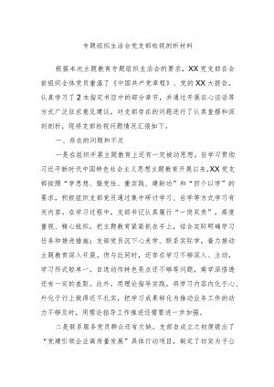 专题组织生活会党支部检视剖析材料.docx