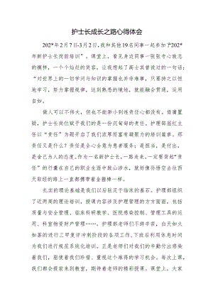 护士长成长之路心得体会.docx