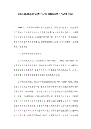 2023年度市局党委书记抓基层党建工作述职报告.docx