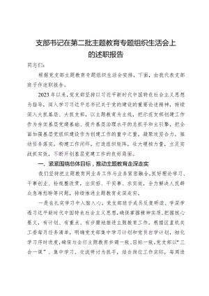 支部书记在第二批主题教育专题组织生活会上的述职报告.docx