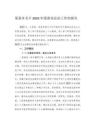 某某乡关于2023年度落实法治工作的报告.docx