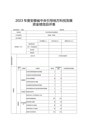 2023年度安徽省中央引导地方科技发展资金绩效自评表、自评报告提纲.docx