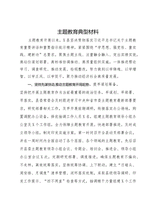 某县主题教育工作总结暨典型经验材料.docx