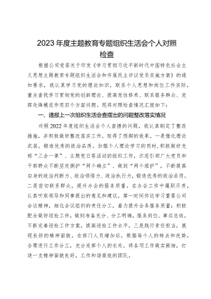 2023年度主题教育专题组织生活会个人对照检查.docx