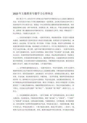 2023年主题教育专题学习心得体会.docx