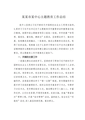 某某市某中心主题教育工作总结.docx