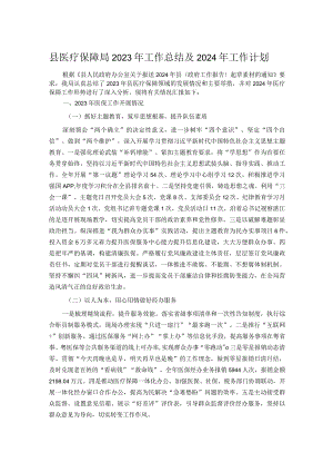 县医疗保障局2023年工作总结及2024年工作计划.docx