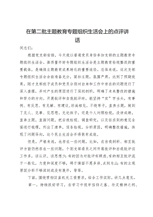 在第二批主题教育专题组织生活会上的点评讲话.docx