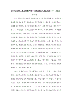 副书记在第二批主题教育读书班结业仪式上的发言材料.docx
