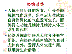 14经络.ppt.ppt