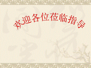 端午的鸭蛋公开课.ppt