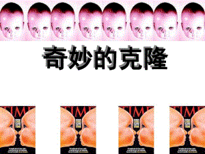 【最新精选】17奇妙的克隆ppt.ppt