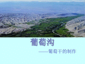 微课葡萄干的制作课件.ppt