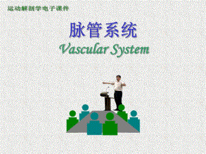 13、运动解剖学脉管系统.ppt