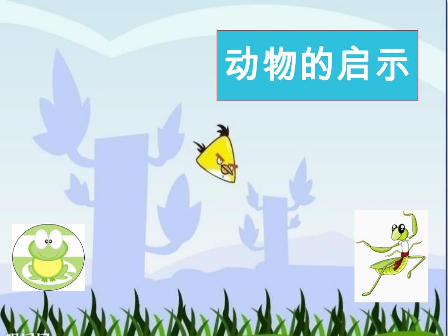 科学大班动物的启示.ppt_第1页