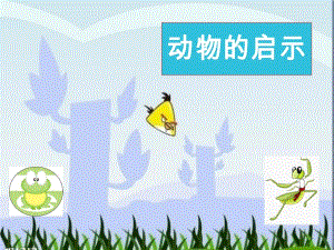 科学大班动物的启示.ppt