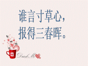 感恩父母(公开课).ppt