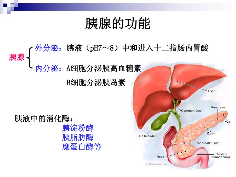 【医学课件大全】急性胰腺炎病人的护理.ppt_第3页
