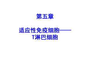 05适应性免疫细胞——T淋巴细胞.ppt