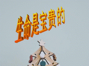 课件生命是宝贵的.ppt