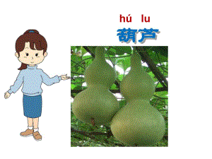 我要的是葫芦课件.ppt