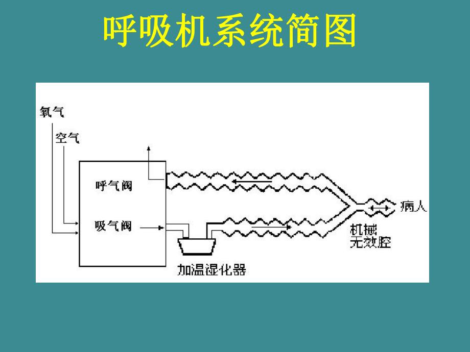【精品PPT】机械通气及护理ppt.ppt_第3页