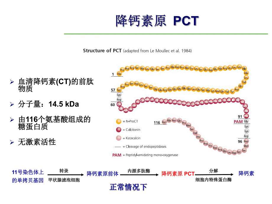 PCT在ICU的应用.ppt_第2页
