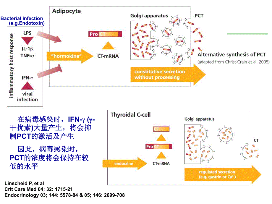 PCT在ICU的应用.ppt_第3页