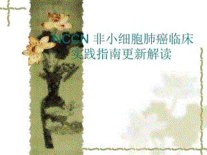 NCCN非小细胞肺癌临.ppt